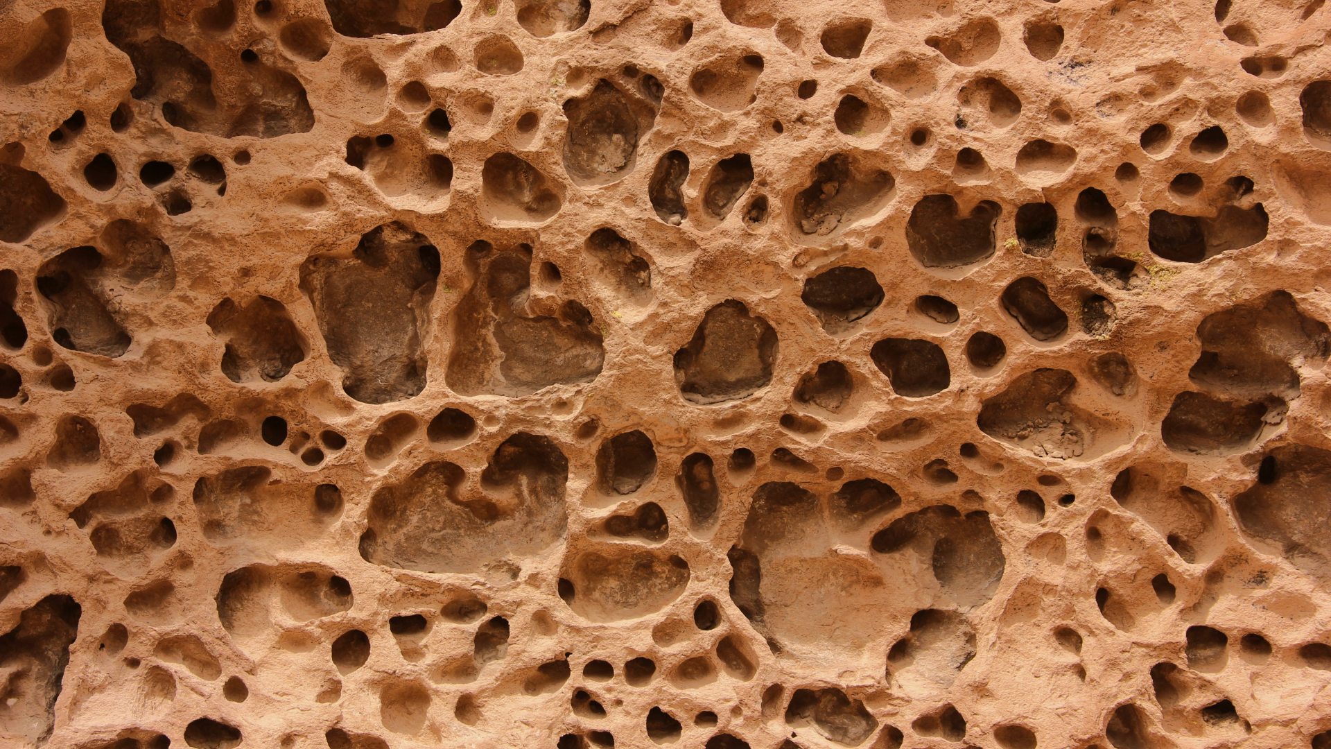 Are You at Risk for Osteoporosis? Top Risk Factors and What You Can Do About It