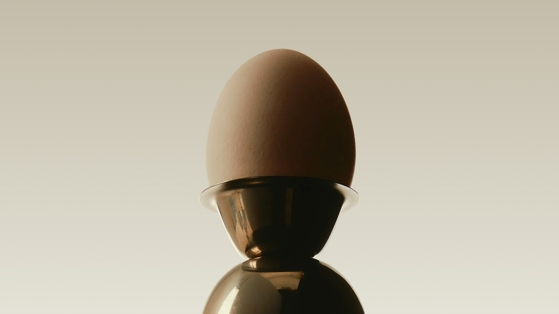 What's on Your Plate? Plant Protein vs. Animal-Based Protein