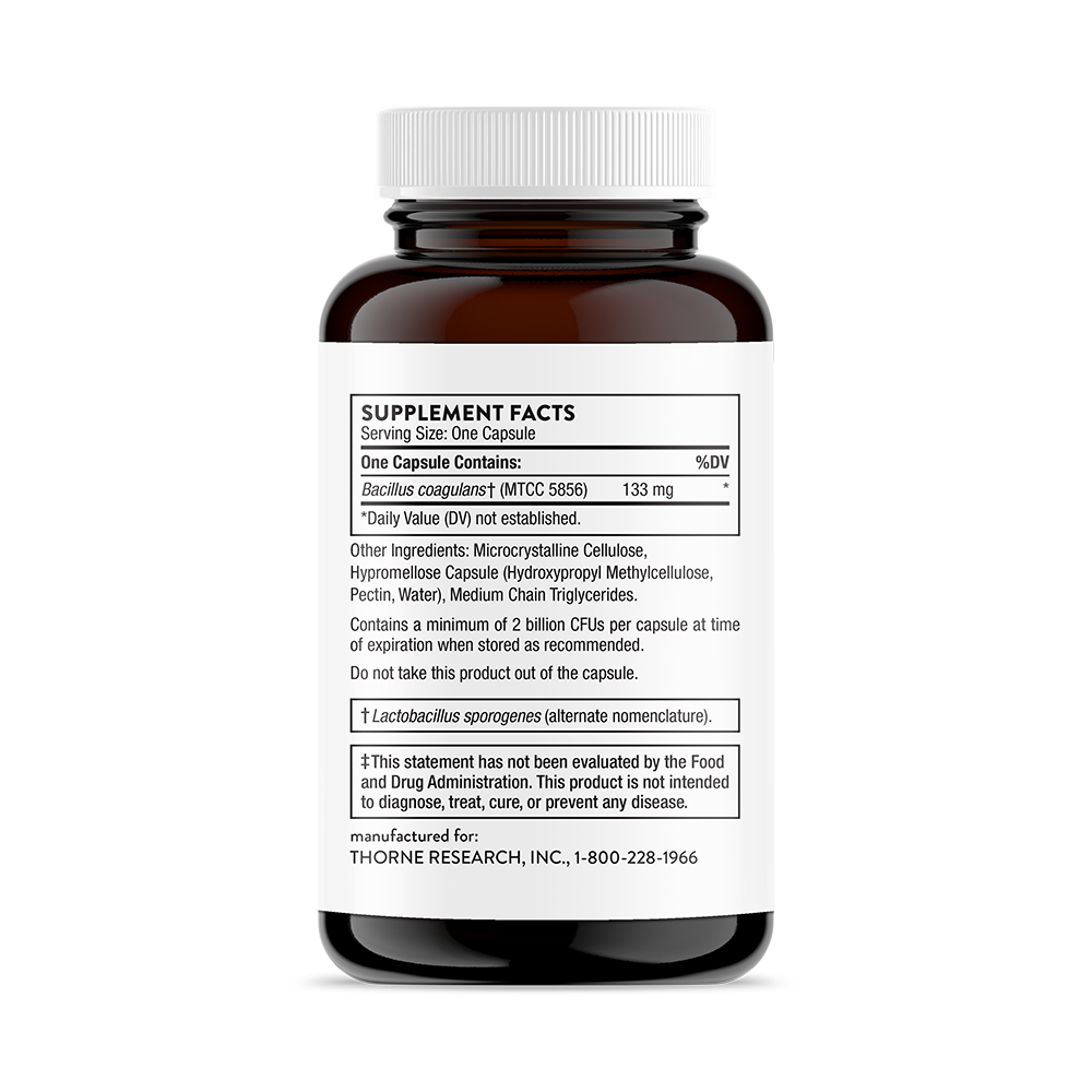Bacillus Coagulans thumbnail 8