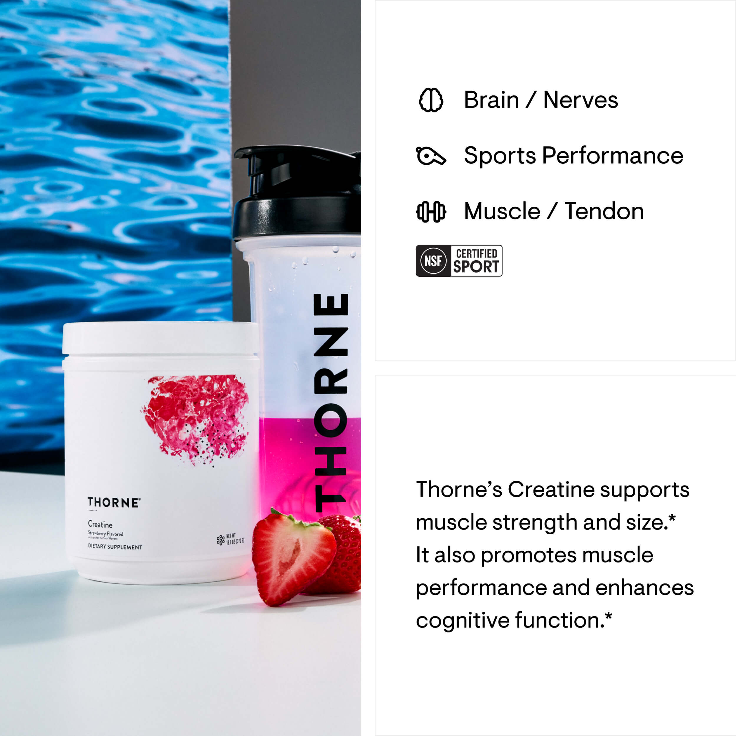 Creatine - Strawberry thumbnail 2
