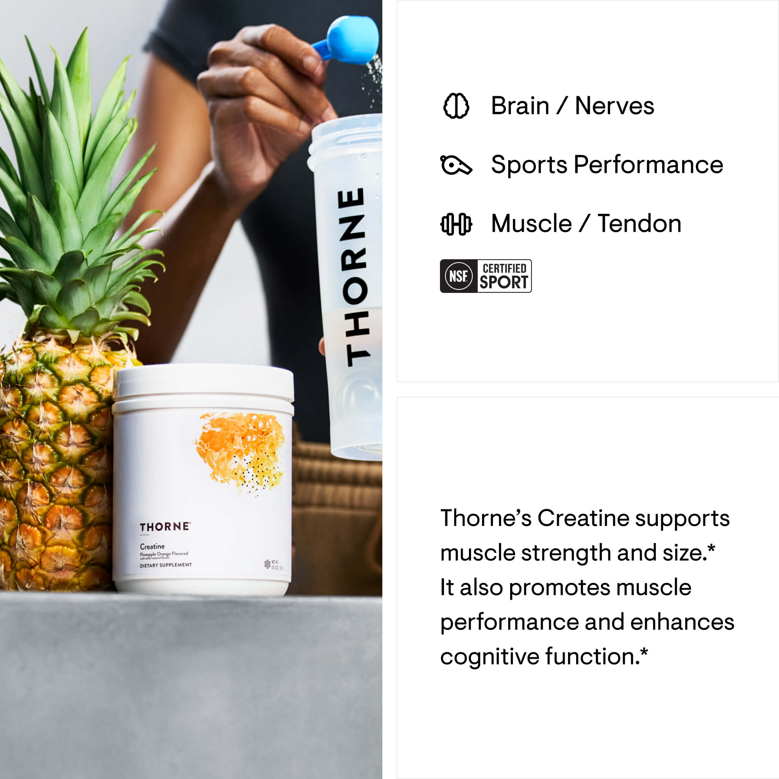 Creatine - Pineapple Orange thumbnail 2