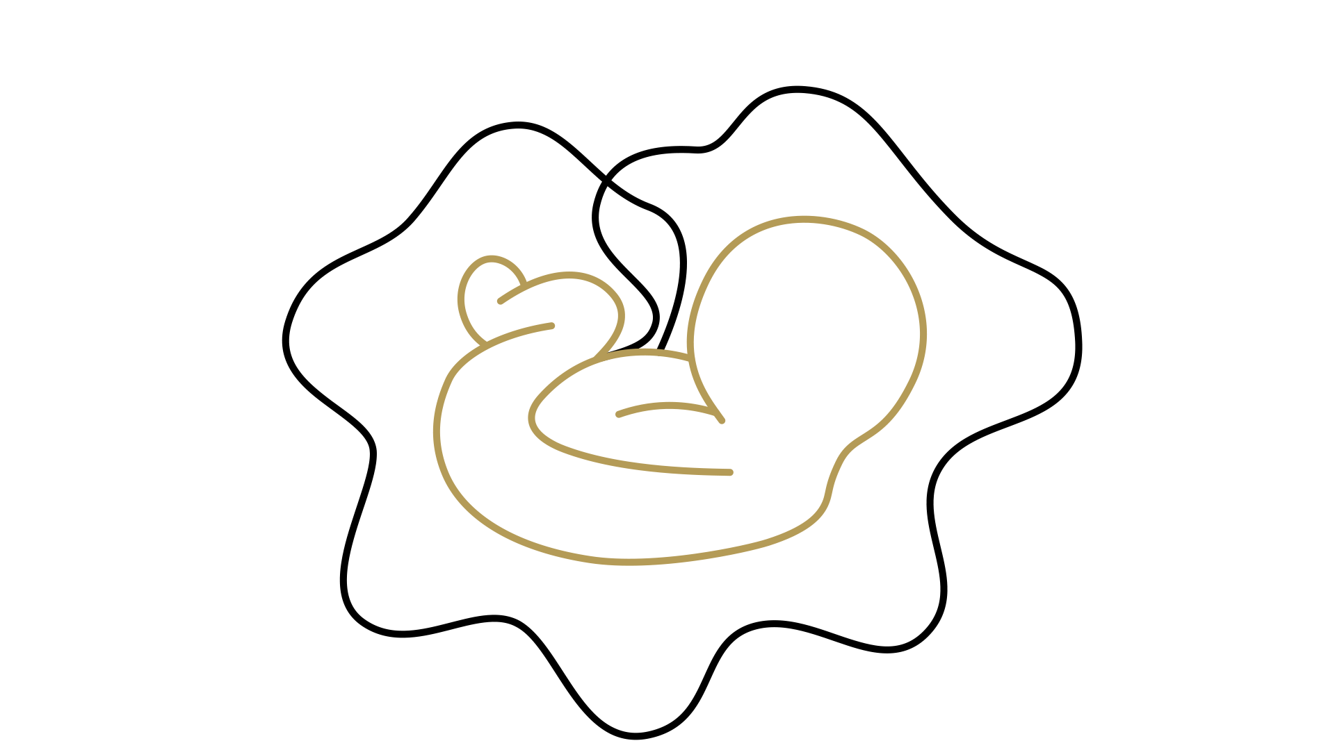 Basic Prenatal for Expecting Mothers